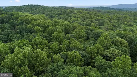Other - 9808 Timber Hts, Marshall, VA 20115 photo 28 of 28