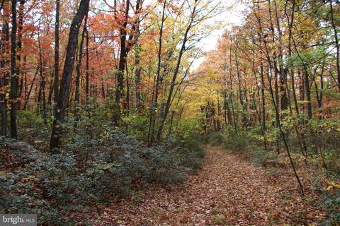 Routt I4 Road, Gore, VA 22637