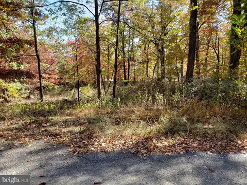 Pheasant - Lot 25, Winchester, VA 22602
