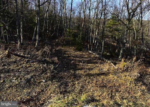 Lot 161 0, Winchester, VA 22602