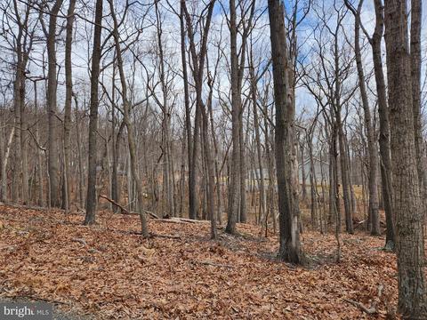 13 Opossum Trail, Winchester, VA 22602