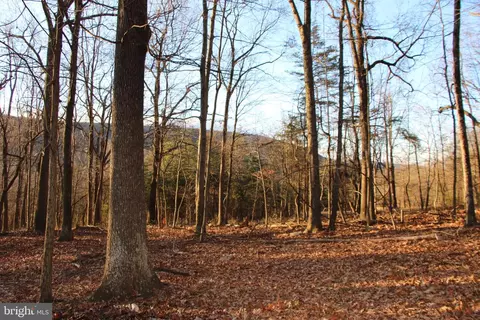 Capon Springs Grade, Star Tannery, VA 22654
