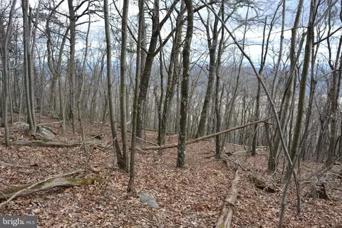 Lot #166& Others Rockwood Trail, Winchester, VA 22602