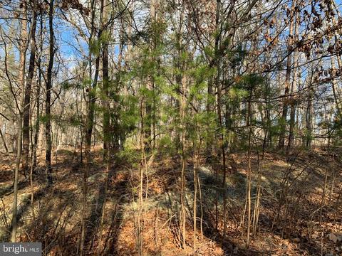 Lot 3, Cross Junction, VA 22625