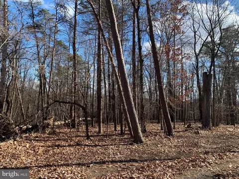 Trillium Lane, Cross Junction, VA 22625