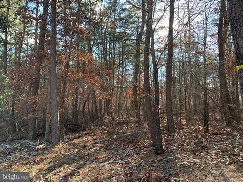 Lot 9, Cross Junction, VA 22625