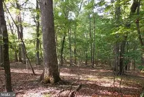 lot31 Sycamore Ln, Gore, VA 22637