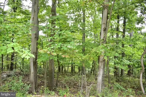 lot17 Fox Trl, Winchester, VA 22602