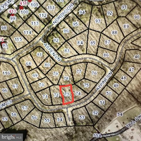 Lot 73 Alpine Lane, Cross Junction, VA 22625