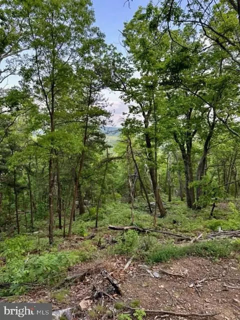 77 Mimosa Trail, Winchester, VA 22602
