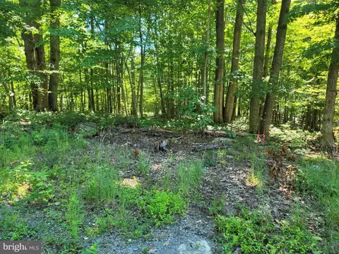 Lot 10 Raccoon, Winchester, VA 22602