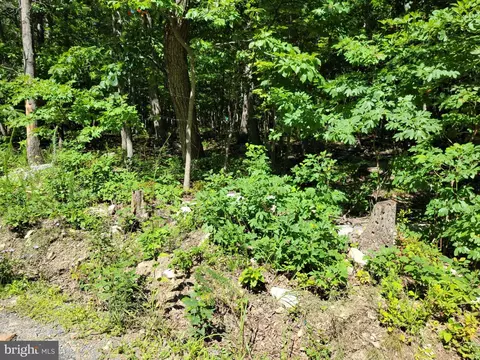 6 Cardinal Lane, Winchester, VA 22602