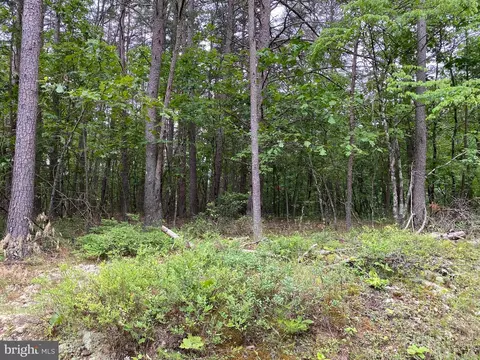 Lot 15 - East Four Seasons Ln, Gore, VA 22637