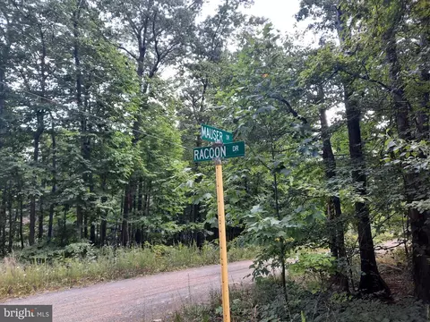 526 Raccoon Dr, Winchester, VA 22602