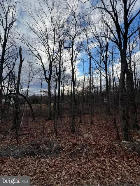 Lot 18 Remington Drive, Winchester, VA 22602