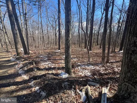 Gazelle Trail, Winchester, VA 22602