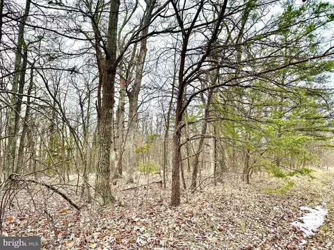 lot3 N Timber Ridge Rd, Cross Junction, VA 22625