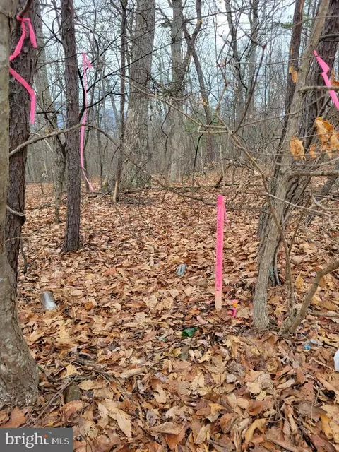 2 South Timber Ridge Road, Cross Junction, VA 22625