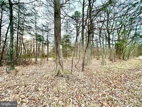 Lot 4 N Timber Ridge Road, Cross Junction, VA 22625