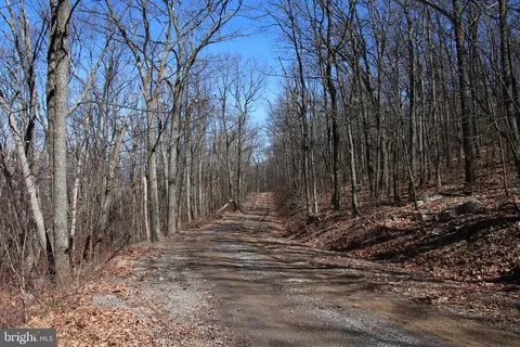 Shickle Lane, Winchester, VA 22602