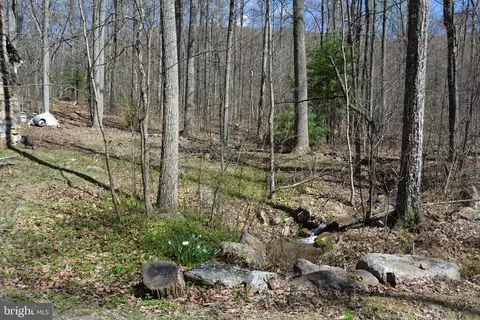 428 Sawlog Rd, Gore, VA 22637 photo 23
