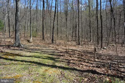 428 Sawlog Rd, Gore, VA 22637 photo 33