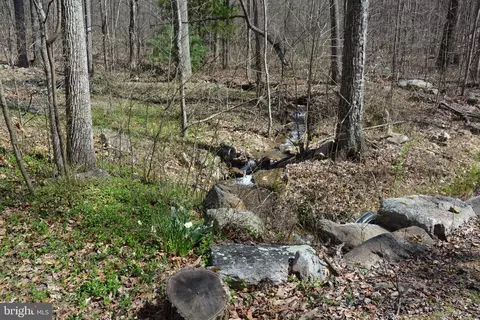 428 Sawlog Rd, Gore, VA 22637 photo 28