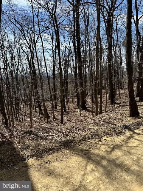 lot15 Stagg Trl, Winchester, VA 22602