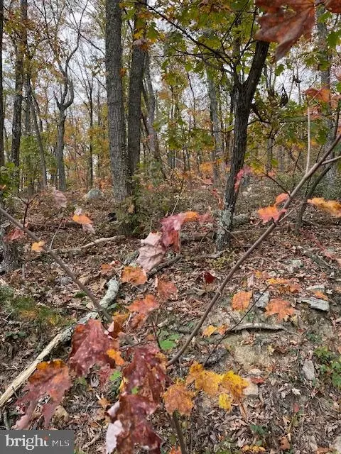 lot171 Fire Tower Trl, Winchester, VA 22602