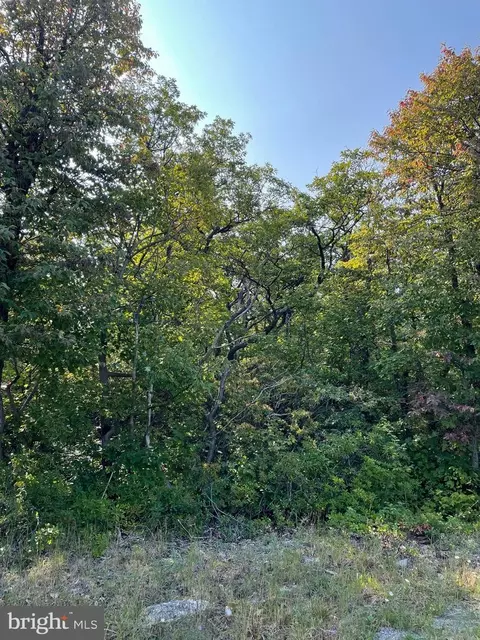 lot231 Timber Rdg, Winchester, VA 22602