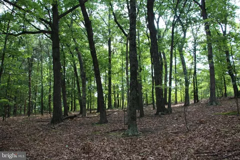 Dawn Heights Trail, Winchester, VA 22603