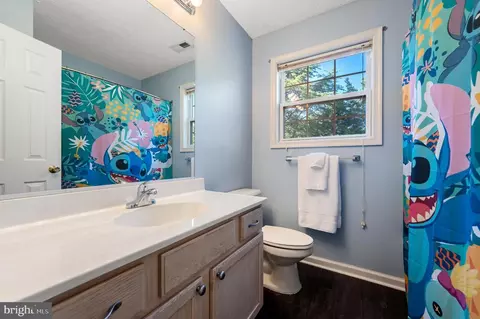 103 Range Ct, Winchester, VA 22602 photo 21