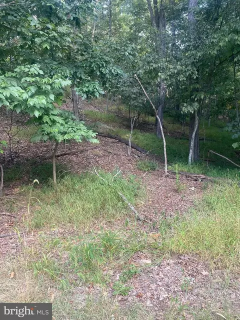 1116 Lakeview Dr, Cross Junction, VA 22625