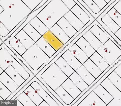 308 Gazelle, Winchester, VA 22602