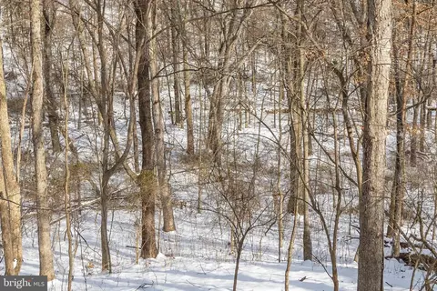 353 Wrights Run Ln, White Post, VA 22663 photo 49