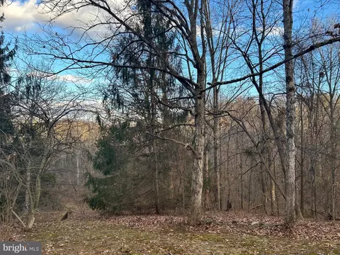 353 Wrights Run Ln, White Post, VA 22663 photo 50