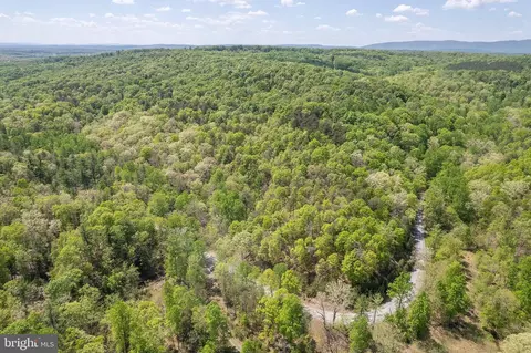 Shockeysville Road, Winchester, VA 22603