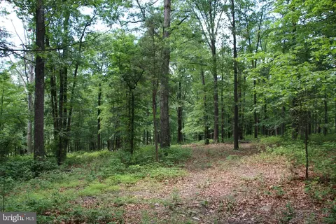 Gough Road, Winchester, VA 22602