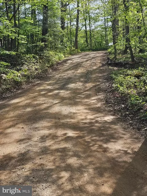 180 Frye Path, Gore, VA 22637 photo 45