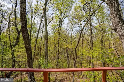180 Frye Path, Gore, VA 22637 photo 22