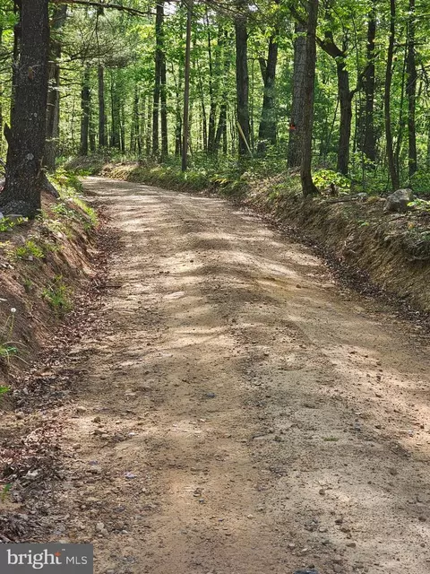 180 Frye Path, Gore, VA 22637 photo 46