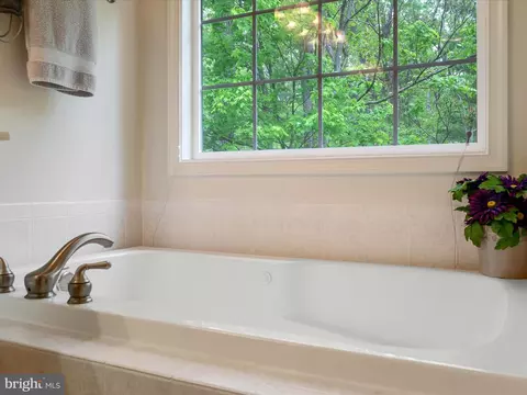 Bath - 108 Eagle Dr, Cross Junction, VA 22625 photo 2 of 4