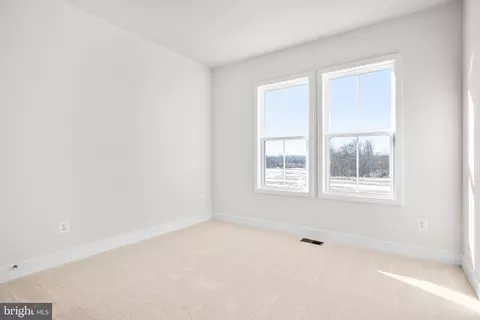 113 Galaxy Pl, Stephenson, VA 22656 photo 15