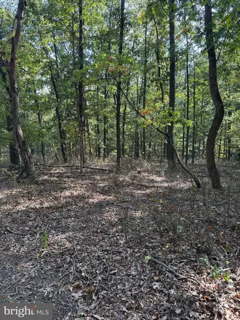 Light Road, Winchester, VA 22603