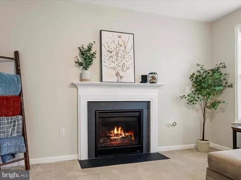 117 Taylor Ct, Stephenson, VA 22656 photo 24