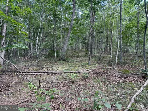 Gun Barrel Lane, Winchester, VA 22603