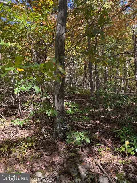 lot5 A Fox Trl, Winchester, VA 22602