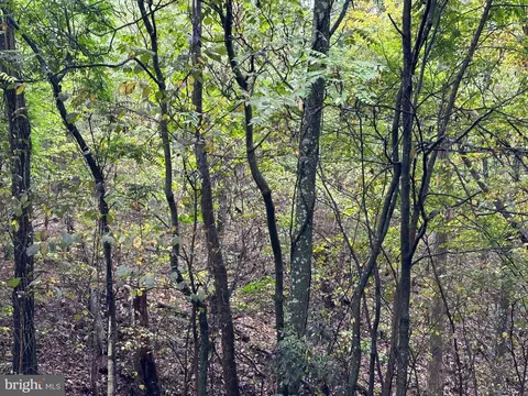 lot7 Oak Dr, Winchester, VA 22603