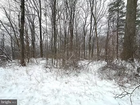 lot4 Duwamish Trl, Winchester, VA 22602