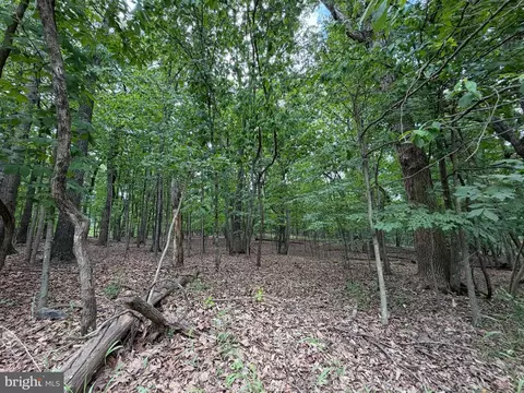 logger drive LOT 82, Gore, VA 22637